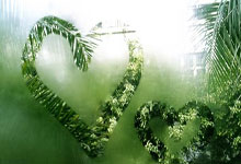 里程碑夜！多伦多猛龙刷新队史纪录，欧联集结日刷纪录，底气十足，医务组通报恢复的简单介绍-JBO在线入口